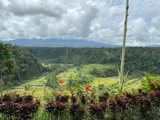 Bali Viaje Tour 1
