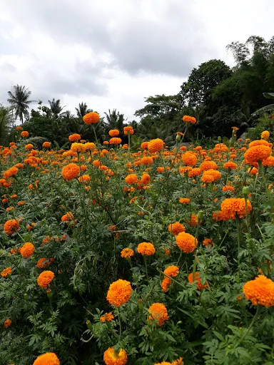 Puri Bakas Klungkung 3