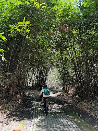 Bali Hai Tour 1
