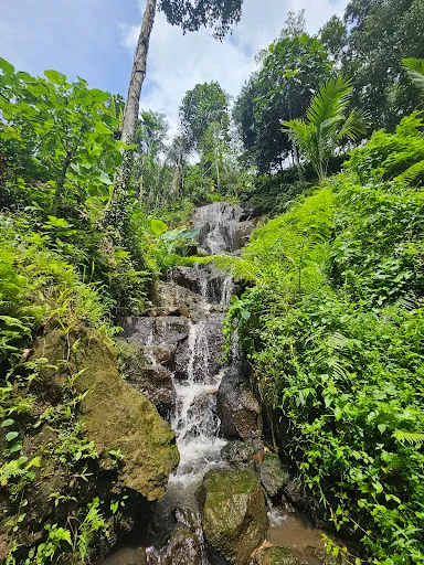 Ulu cangkir waterfall 1