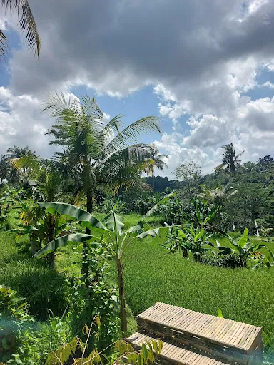 Ulu cangkir waterfall 3