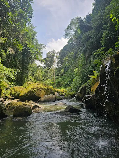 Ulu cangkir waterfall 4