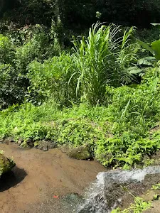 Bangkiang Jaran Waterfall & Hidden Canyon 3