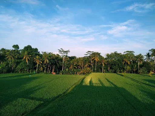 Tulus Hati Ubud 4