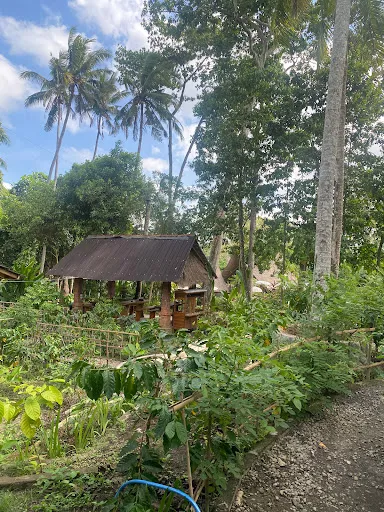 Alas sari coffe agrowisata 2