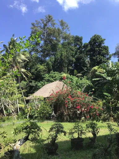 Yeh Pulu Guesthouse 3