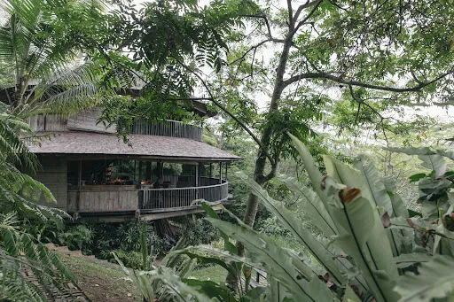 Jungle House Estate 3