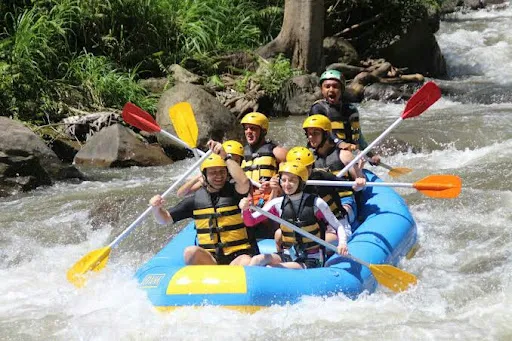 Bali Activities & Tour