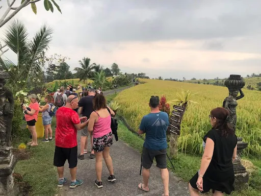 Bali Activities & Tour 4