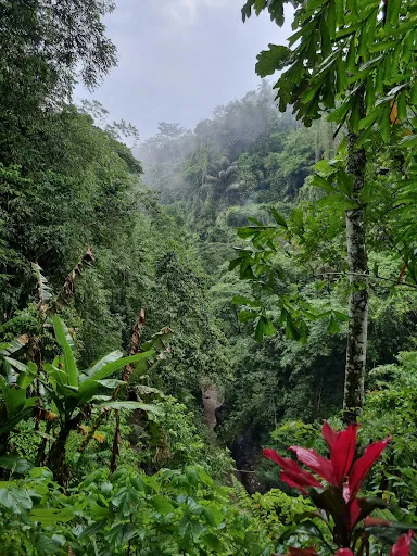 Waterfall Bangkiang Djaran 3
