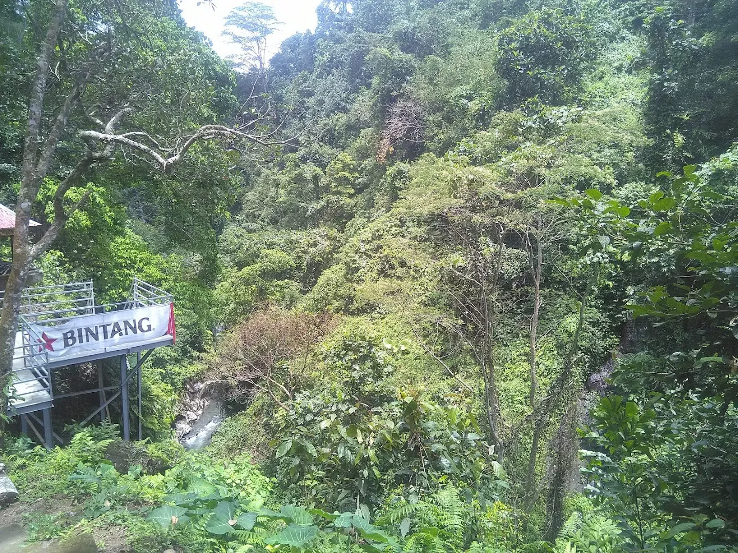 Air Terjun Kuning 3