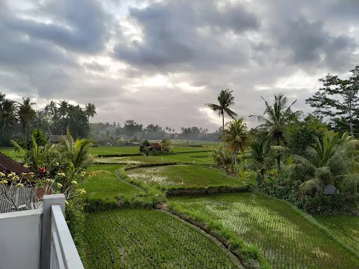 Uma Hati Bali - Your Hideaway Heaven 4