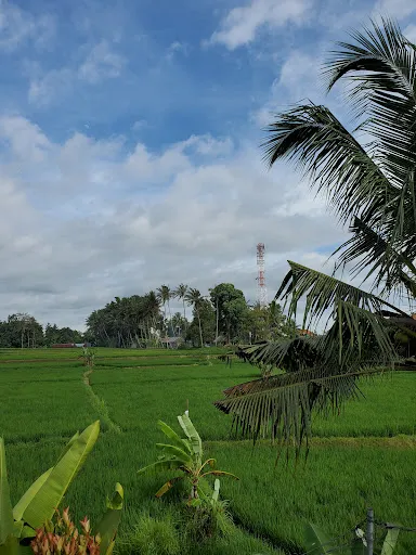 Mancur guesthouse 4