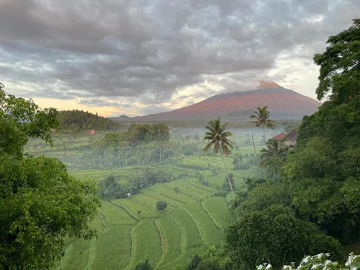 Ubud Area Tours- Best Tour Agency in Bali 2