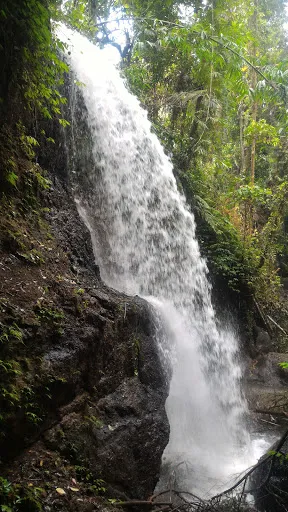 Air Terjun Apit Aungan Pejeng 3