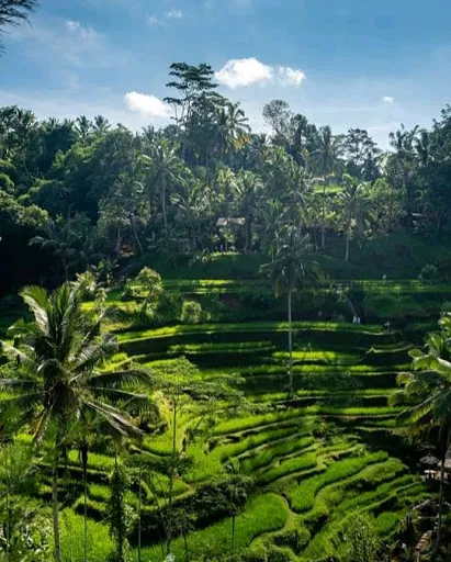 BALI GOLDEN DESTINATION 1