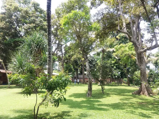 Wood School Bali 2