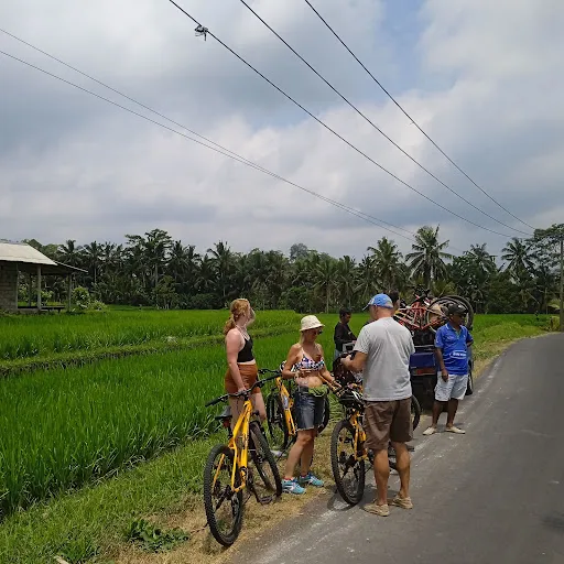 Bali Bintang Tour, Downhill Bike Ride from Kintamani and Cycling in Ubud Bali 1