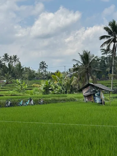 Bali Moon Bike 3