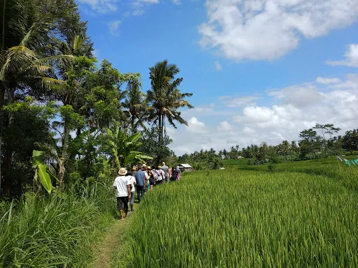 DESA WISATA BAKAS 1