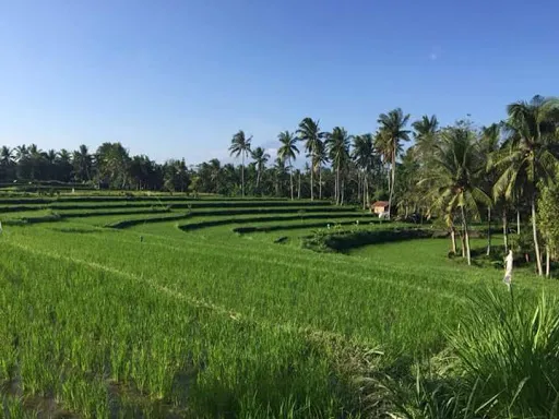 DESA WISATA BAKAS 3