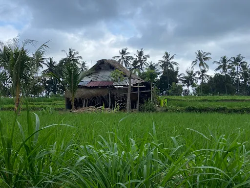 DESA WISATA BAKAS 4