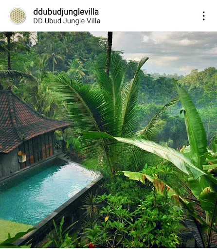 UBUD JUNGLE HOLY WATER 4