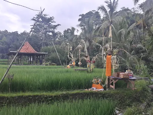 Kedisan Palace 4