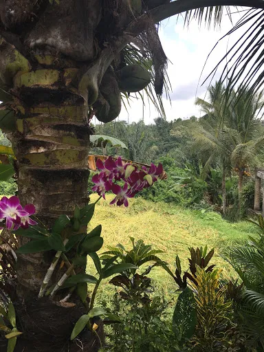 Puri Gangga Resort & Spa 4