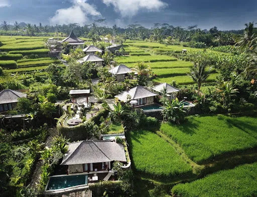 Nau villa ubud