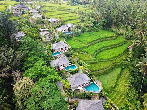 Nau villa ubud 4