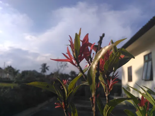 Klinik Sebatu 3