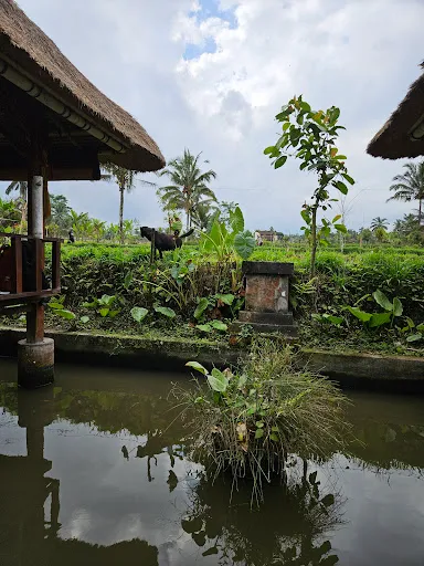 Waroeng De Koi 4