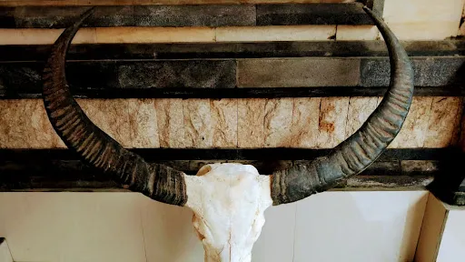 Bali Buffalo Shop 2