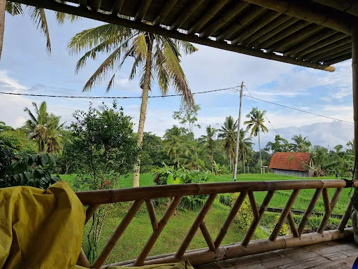 Bamboo Bali Treehouse 2