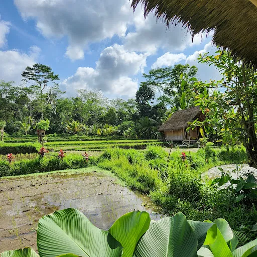 Bamboo Bali Treehouse 3