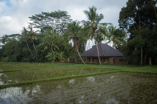 gusti family house 2