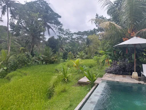 Uma Mupu Retreat 2