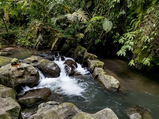 Ulu Petanu Waterfall 2