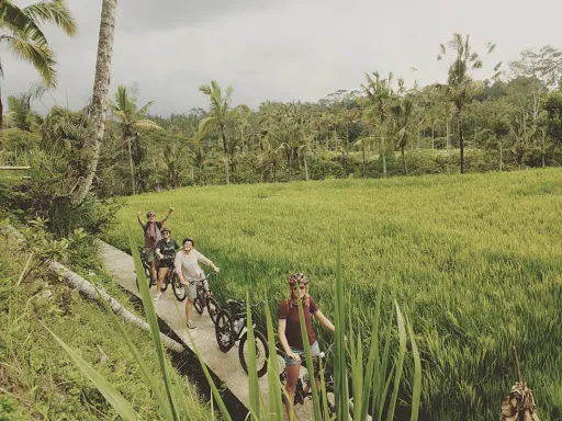 Bali Fun Bike Riding 1