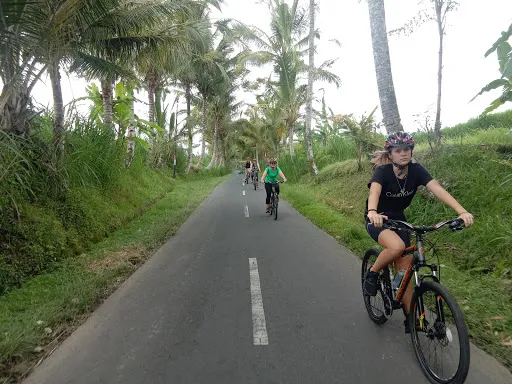 Bali Fun Bike Riding 3