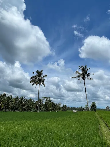 Bali Fun Bike Riding 4