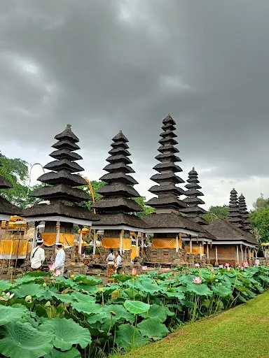 Bali Driver Ubud 2