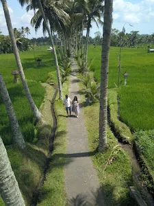 Mancingan Rice Terrace Bali 4