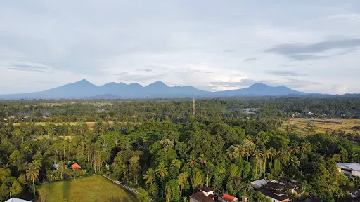 1Stone Bali Tours And Personal Driver (Kadek Sujana) 3