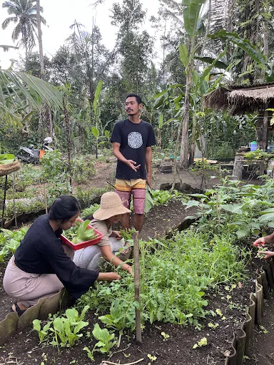 Bhakti Farm - Biodynamic Garden 1