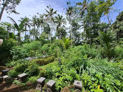 Bhakti Farm - Biodynamic Garden 3