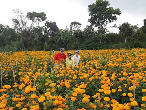 Natura Bali Tours 1