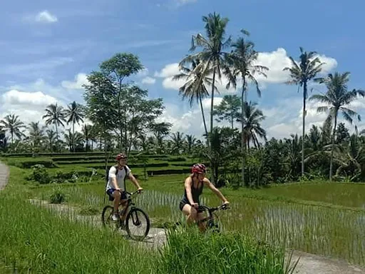 Natura Bali Tours 4