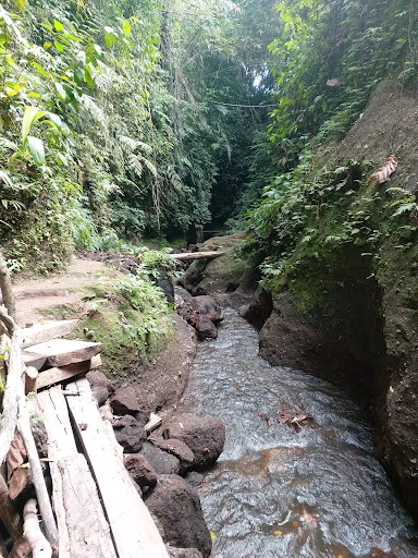 Toya Selaka Waterfall 3